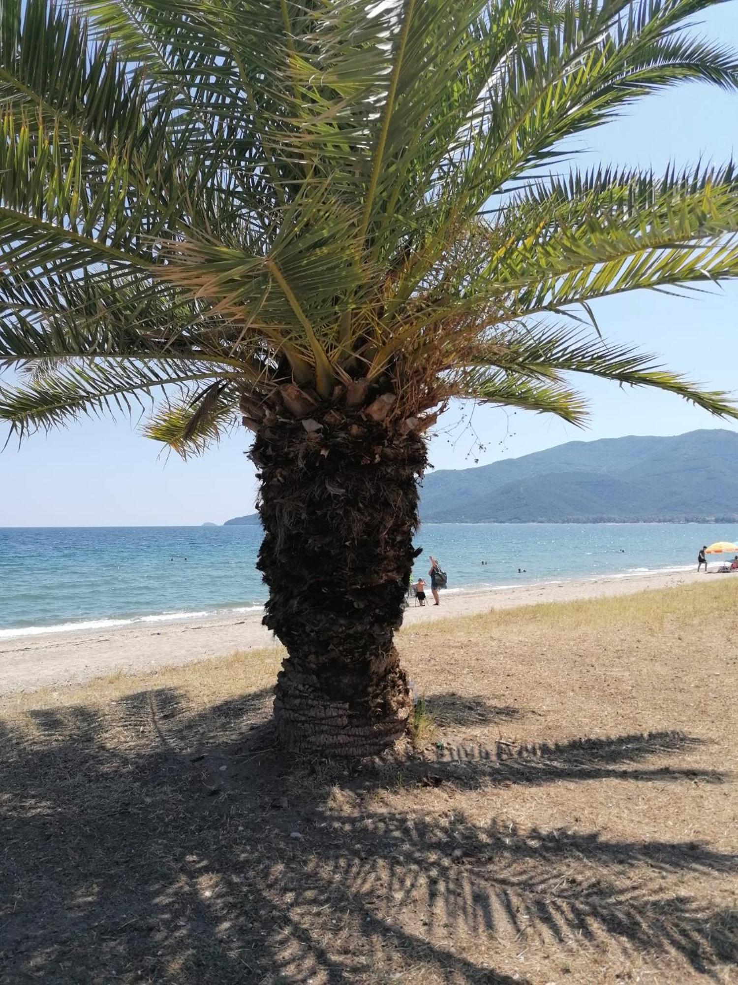 Prime Luxury Villa Beach Front Vrasná Екстериор снимка